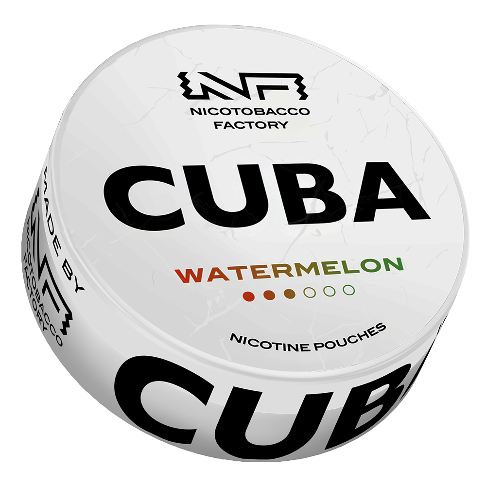 Cuba White Watermelon - Image 2